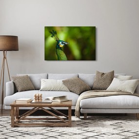 Tablou cu păun (90x60 cm)