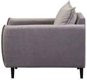 Fotoliu gri cu tapițerie din catifea Juli – Ropez