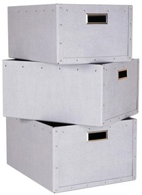 Cutii de depozitare gri-deschis 3 buc. din carton Ture – Bigso Box of Sweden