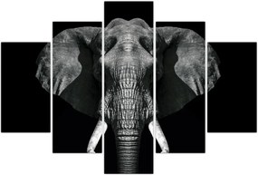 Tablou - Elefant pe fundal negru (150x105 cm)