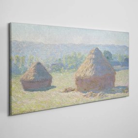 Tablou canvas Monede de fân de la sfârșitul verii