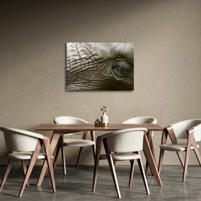 Tablou - Prim-planul ochiului de elefant vechi (70x50 cm)