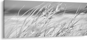 Tablou - Iarbă de plajă (120x50 cm)