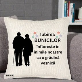 Cadou pentru Bunici - Perna Personalizata Bunicii Iubirea Infloreste Silueta Neagra Flori, 40x40 cm, Crem Reliefat, Husa Detasabila, Perna Inclusa, BEKZ®