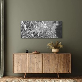 Tablou - Pădure de molid (120x50 cm)