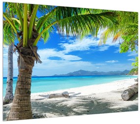 Tablou cu palmier și plaja (70x50 cm), în 40 de alte dimensiuni noi