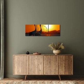 Tablou cu păsări în apus de soare (cu ceas) (90x30 cm)