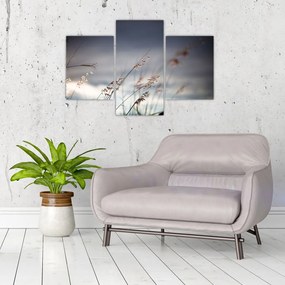 Tablou -Flori de luncă (90x60 cm)