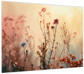 Tablou pe sticlă - Flori sălbatice (70x50 cm)