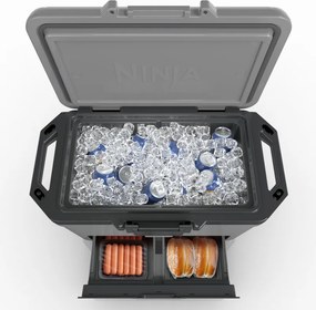 Lada frigorifica Ninja FrostVault FB151EUGY, 47 l, Pasiva, 80 doze, Pastreaza gheata pana la 6 zile, Compartiment uscat, Gri