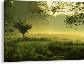 Tablou - Pădurea trezită (70x50 cm)