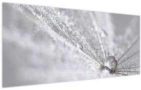 Tablou - Picătură de apă (120x50 cm)