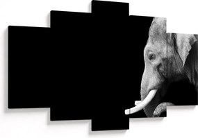 Tablou - Elefant (150x105 cm)