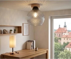 BRILAGI - Plafonieră LED R GLASS 1xE27/60W/230V diam. 25 cm stejar/gri fumuriu