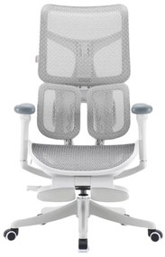 Scaun ergonomic SIHOO S50, suport lombar adaptiv, sezut cu translatie, spătar reglabil pe inaltime, mecanism multifunctional inclinare/blocare, cotiere 4D, pivotant, Mesh, Gri