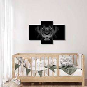 Tablou - Leu majestic (90x60 cm)