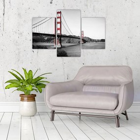 Tablou cu pod (90x60 cm)