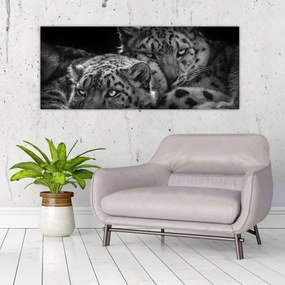 Tablou - Gheparzi care se odihnesc (120x50 cm)