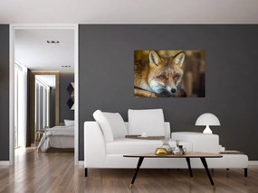 Tablou cu vulpe (90x60 cm)