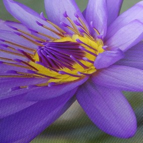 Tablou - Floare violet (cu ceas) (90x30 cm)