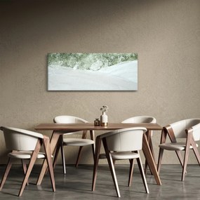 Abstract din pensule (120x50 cm)