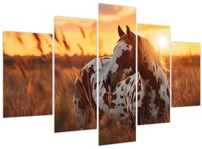 Tablou - Cal la Apus (150x105 cm)