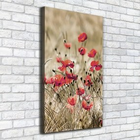 Imprimare tablou canvas Flori de câmp