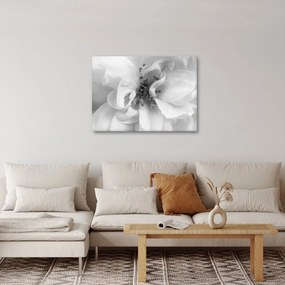 Tablou - Floare,alb-negru (70x50 cm)