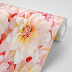 Fototapet flori de dalia pastelate