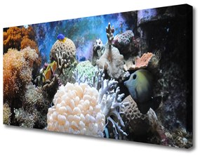 Tablou pe panza canvas Coral Reef Natura Gri Alb Galben