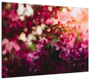 Tablou cu florile tufișului înflorit (70x50 cm)