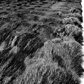 Covor pufos imitatie blana de iepure 3D negru CFF141