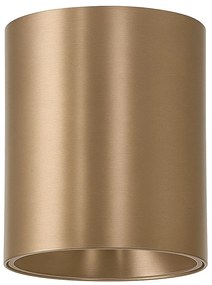 Spot aplicat maro LED BABIL 10W CCT