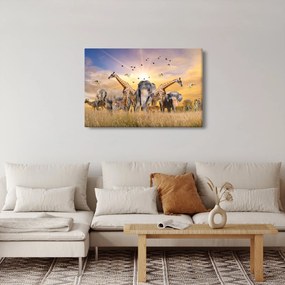 Tablou - Animae din Africa (90x60 cm)