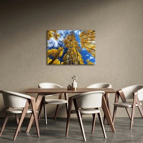 Tablou - Aspen (70x50 cm)