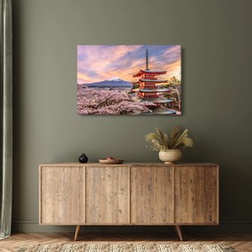 Tablou - Fuji,Japonia (90x60 cm)