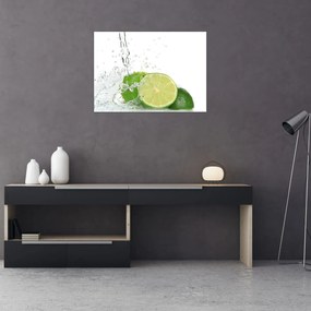 Tablou pe sticlă - Lămâi suculente (70x50 cm)