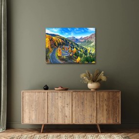 Tablou - Trecătoarea Malay Pass (70x50 cm)