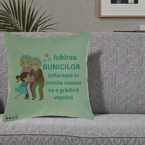 Cadou pentru Bunici - Perna Personalizata Bunicii Iubirea Infloreste cu Nepoata Teal, 40x40 cm, Verde, Husa Detasabila, Perna Inclusa, BEKZ®