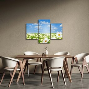 Tablou cu luncă înflorită cu margarete (90x60 cm)