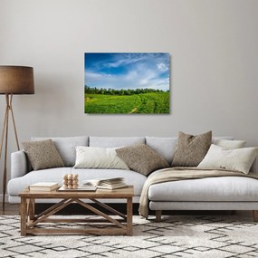 Tablou pe sticlă cu luncă (70x50 cm)