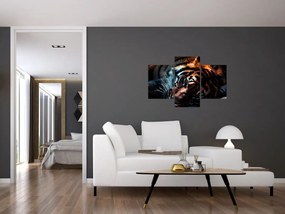 Tablou cu tigrul dormind (90x60 cm)