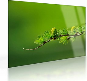 Tablou pe sticlă con verde (70x50 cm)