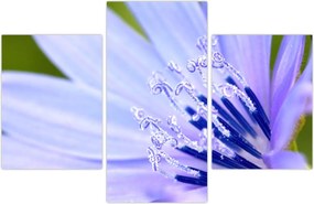 Tablou - Floare (90x60 cm)