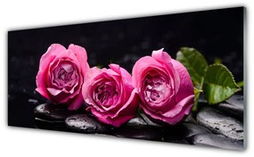 Tablouri acrilice Trandafiri pietre Floral Rosu Negru