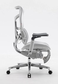 RESIGILAT- Scaun ergonomic SIHOO DORO S300 ADAPTIVE, cotiere 6D ultra moi, suport lombar adaptiv, spătar reglabil pe inaltime, mecanism multifunctional inclinare/blocare, pivotant, Mesh, Gri