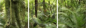 Tablou - Pădure tropicală (cu ceas) (90x30 cm)