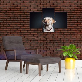 Tablou cu labrador (90x60 cm)