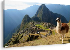 Tablou - Lama și Machu Picchu (90x60 cm)
