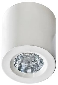 Mini Spot LED aplicat tavan/plafon NANO ROUND alb